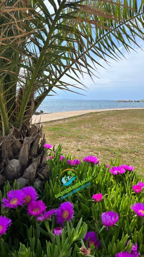 Lakokocsik A Tengerparton - Caravans At The Sandy Beach Privlaka  Exterior photo